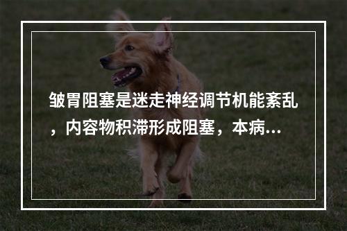 皱胃阻塞是迷走神经调节机能紊乱，内容物积滞形成阻塞，本病多