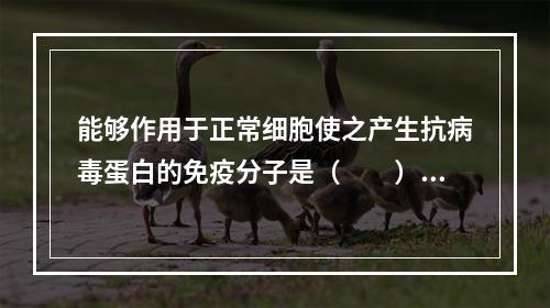 能够作用于正常细胞使之产生抗病毒蛋白的免疫分子是（　　）。