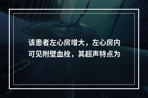 该患者左心房增大，左心房内可见附壁血栓，其超声特点为