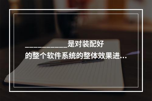 __________是对装配好的整个软件系统的整体效果进行测