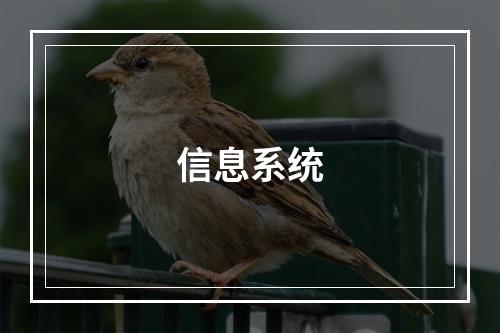 信息系统