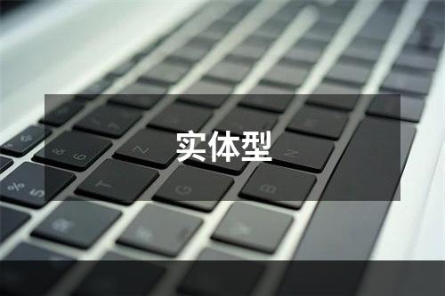 实体型