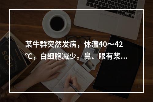 某牛群突然发病，体温40～42℃，白细胞减少。鼻、眼有浆液