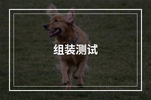 组装测试