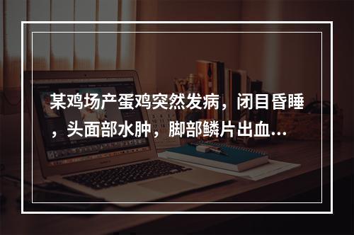 某鸡场产蛋鸡突然发病，闭目昏睡，头面部水肿，脚部鳞片出血。