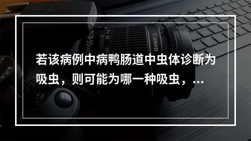 若该病例中病鸭肠道中虫体诊断为吸虫，则可能为哪一种吸虫，并为