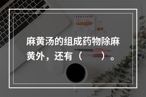 麻黄汤的组成药物除麻黄外，还有（　　）。