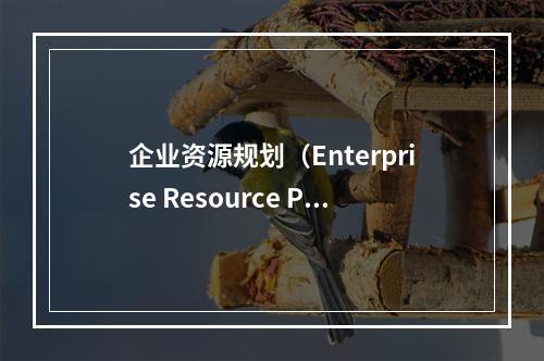 企业资源规划（Enterprise Resource Pla