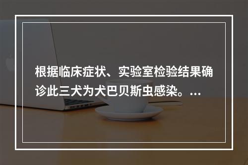 根据临床症状、实验室检验结果确诊此三犬为犬巴贝斯虫感染。可选