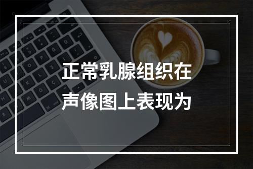 正常乳腺组织在声像图上表现为