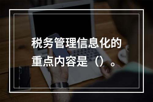 税务管理信息化的重点内容是（）。