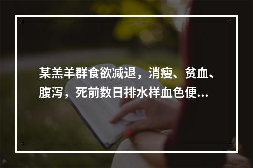 某羔羊群食欲减退，消瘦、贫血、腹泻，死前数日排水样血色便，并