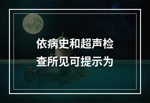 依病史和超声检查所见可提示为