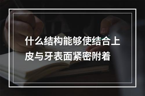 什么结构能够使结合上皮与牙表面紧密附着