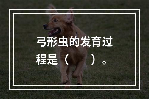 弓形虫的发育过程是（　　）。