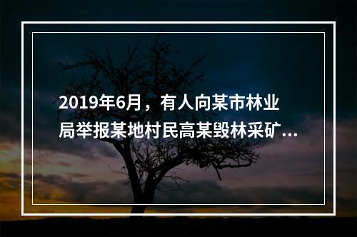 2019年6月，有人向某市林业局举报某地村民高某毁林采矿。3