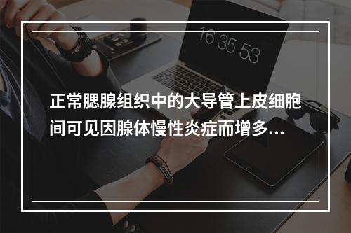 正常腮腺组织中的大导管上皮细胞间可见因腺体慢性炎症而增多的哪