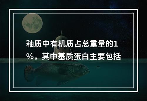 釉质中有机质占总重量的1%，其中基质蛋白主要包括