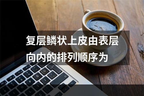 复层鳞状上皮由表层向内的排列顺序为