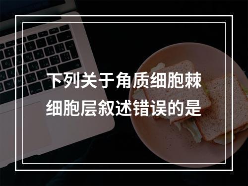 下列关于角质细胞棘细胞层叙述错误的是