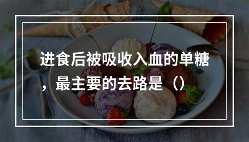 进食后被吸收入血的单糖，最主要的去路是（）