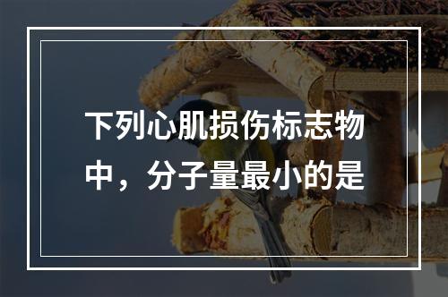 下列心肌损伤标志物中，分子量最小的是