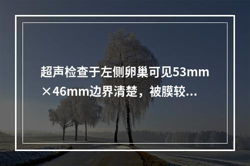 超声检查于左侧卵巢可见53mm×46mm边界清楚，被膜较薄，