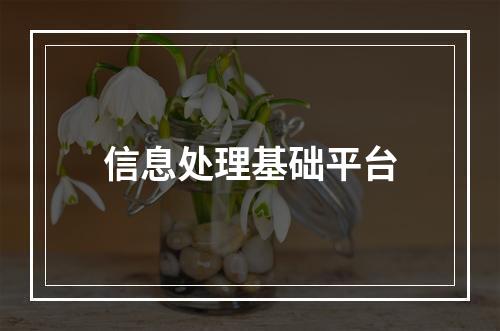 信息处理基础平台