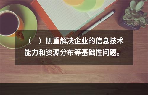 （　）侧重解决企业的信息技术能力和资源分布等基础性问题。