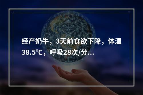 经产奶牛，3天前食欲下降，体温38.5℃，呼吸28次/分钟，