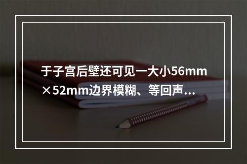 于子宫后壁还可见一大小56mm×52mm边界模糊、等回声不均