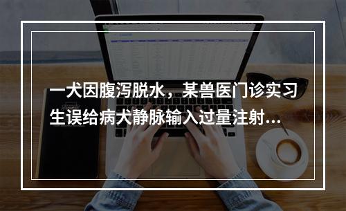 一犬因腹泻脱水，某兽医门诊实习生误给病犬静脉输入过量注射用