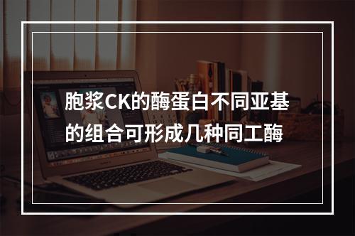 胞浆CK的酶蛋白不同亚基的组合可形成几种同工酶