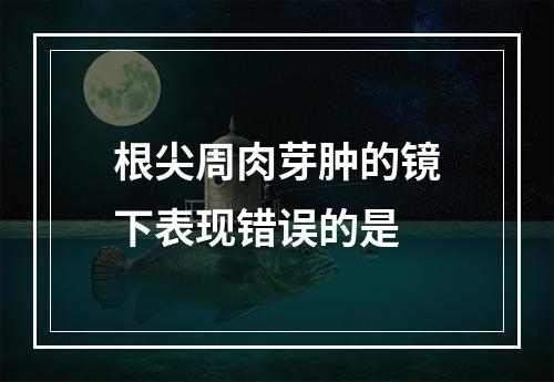 根尖周肉芽肿的镜下表现错误的是