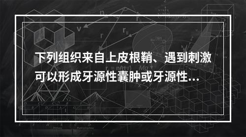 下列组织来自上皮根鞘、遇到刺激可以形成牙源性囊肿或牙源性肿瘤