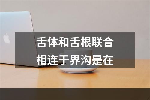 舌体和舌根联合相连于界沟是在