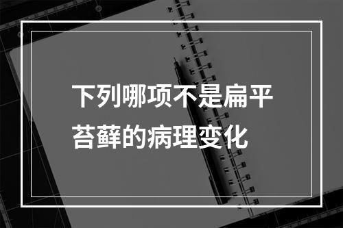 下列哪项不是扁平苔藓的病理变化