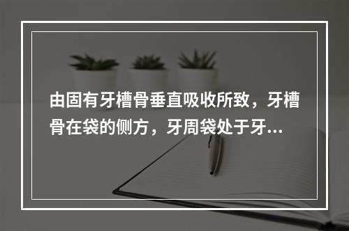 由固有牙槽骨垂直吸收所致，牙槽骨在袋的侧方，牙周袋处于牙根面