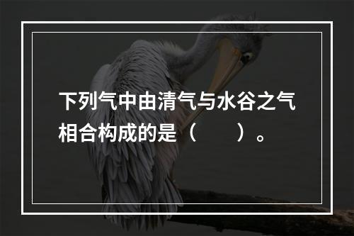 下列气中由清气与水谷之气相合构成的是（　　）。