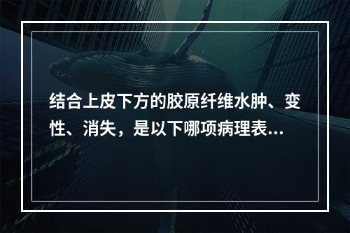 结合上皮下方的胶原纤维水肿、变性、消失，是以下哪项病理表现