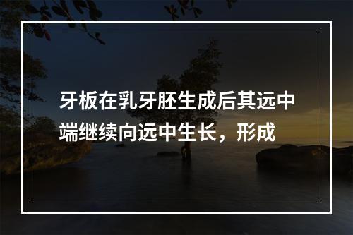 牙板在乳牙胚生成后其远中端继续向远中生长，形成