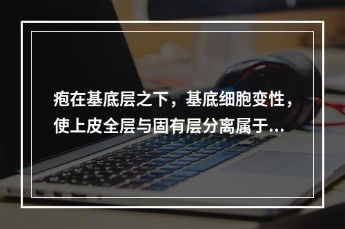 疱在基底层之下，基底细胞变性，使上皮全层与固有层分离属于哪种