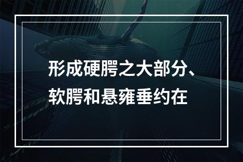 形成硬腭之大部分、软腭和悬雍垂约在