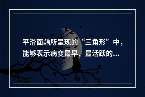 平滑面龋所呈现的“三角形”中，能够表示病变最早、最活跃的部分