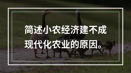 简述小农经济建不成现代化农业的原因。