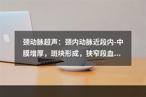 颈动脉超声：颈内动脉近段内-中膜增厚，斑块形成，狭窄段血流充