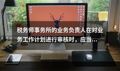 税务师事务所的业务负责人在对业务工作计划进行审核时，应当重点