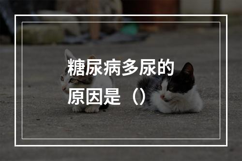 糖尿病多尿的原因是（）