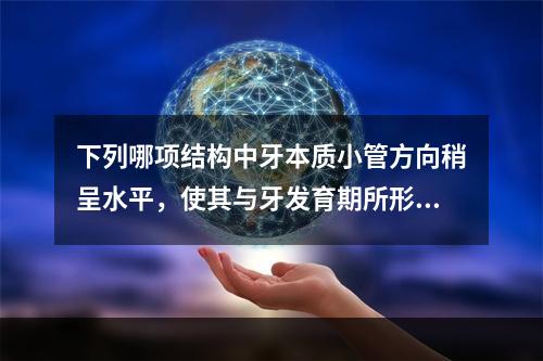 下列哪项结构中牙本质小管方向稍呈水平，使其与牙发育期所形成的