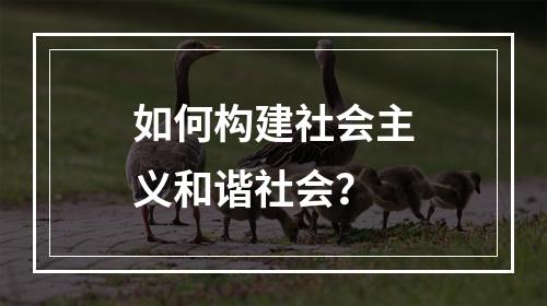 如何构建社会主义和谐社会？